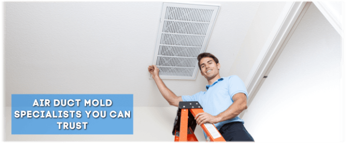 Air Duct Mold Removal in Houston