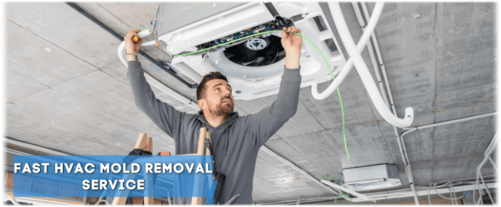 HVAC Mold Removal Houston